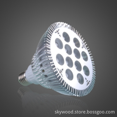 12x1W High Power LED Par Light, PAR38